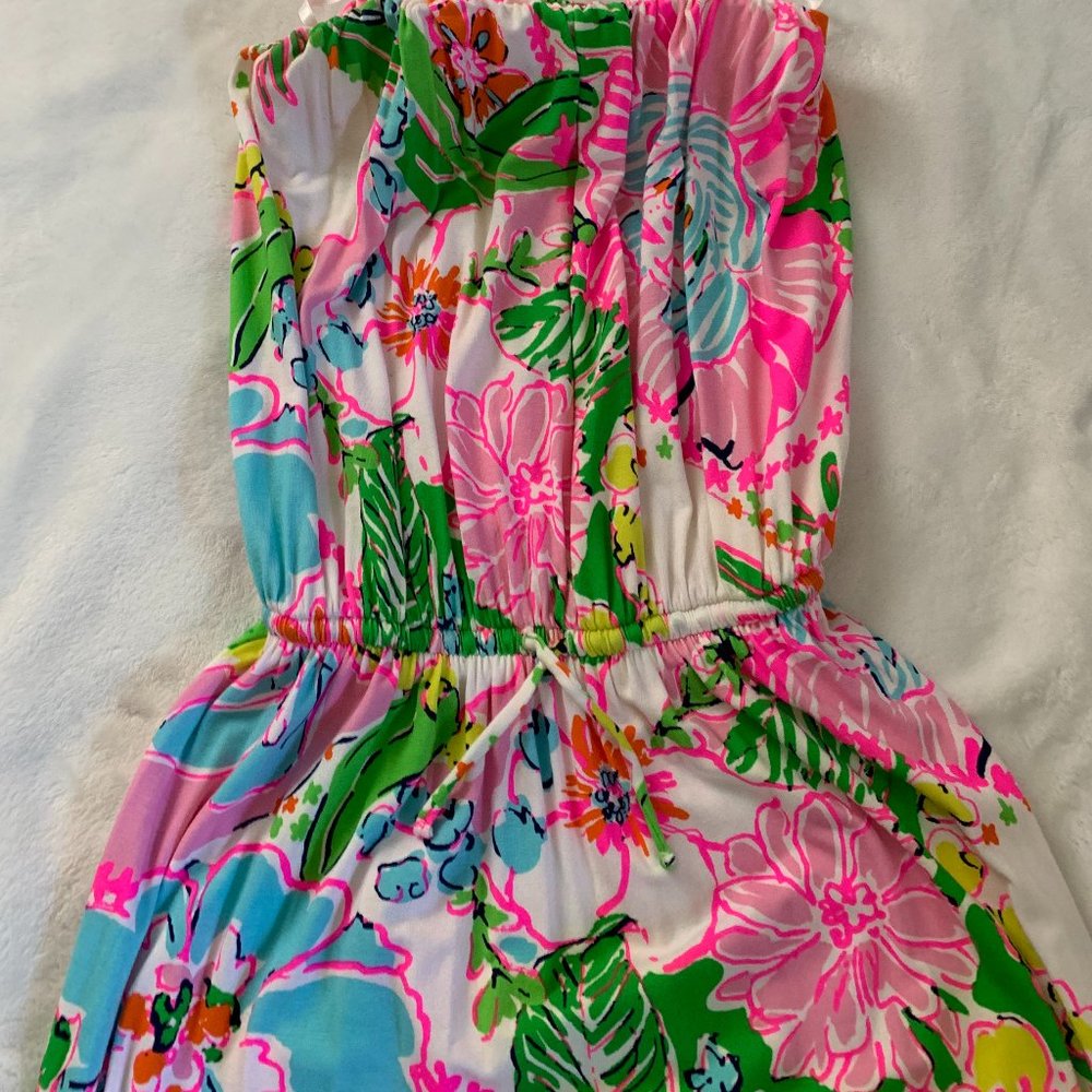 Lilly Pulitzer Pink Green Blue Floral Maxi Dress